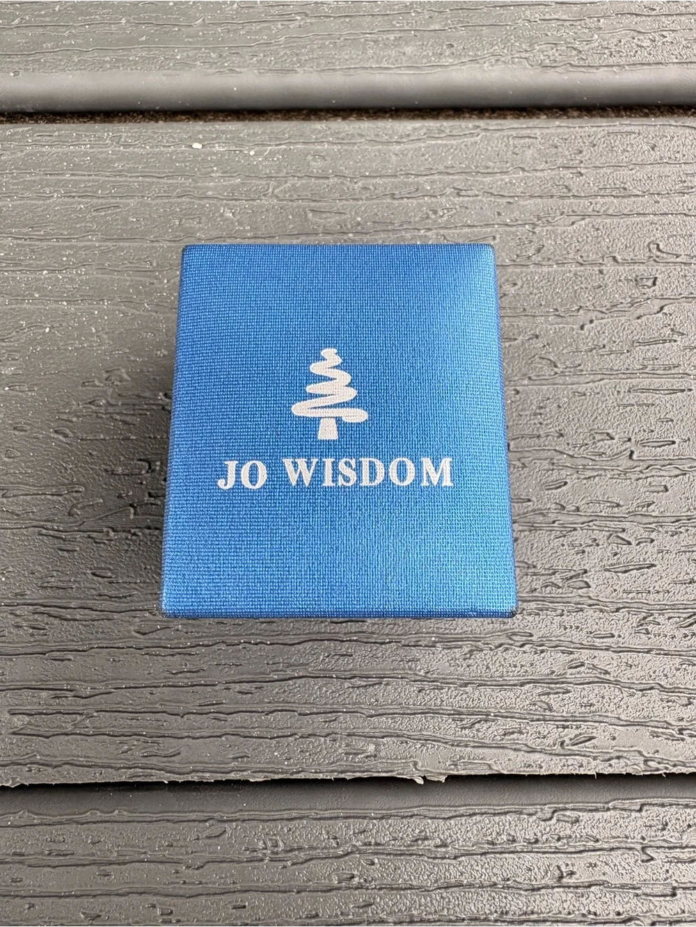 Jo Wisdom delicate silver
